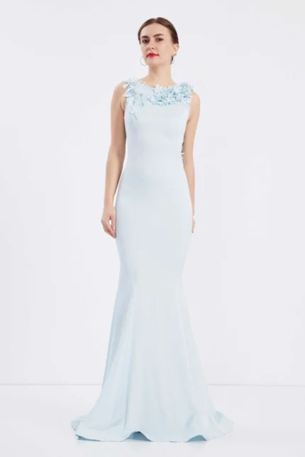 Aaliyah – Elegant Sky Blue Backless Evening Gown with Floral Appliqué